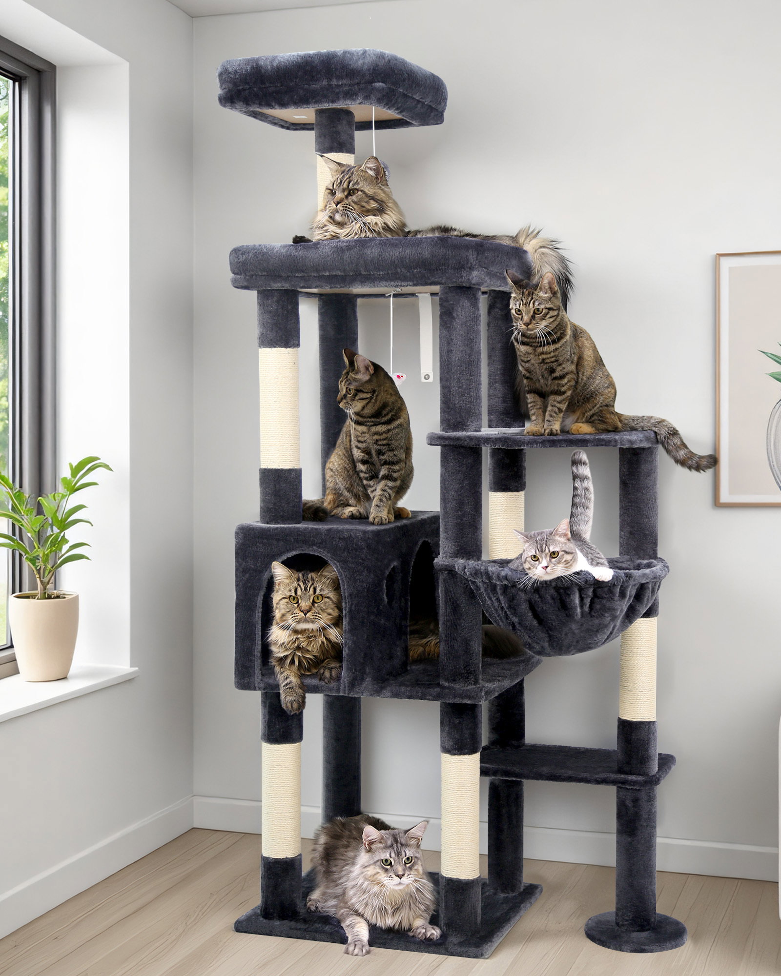F65B Tall Cat Tower(Dark Grey,65-inch)