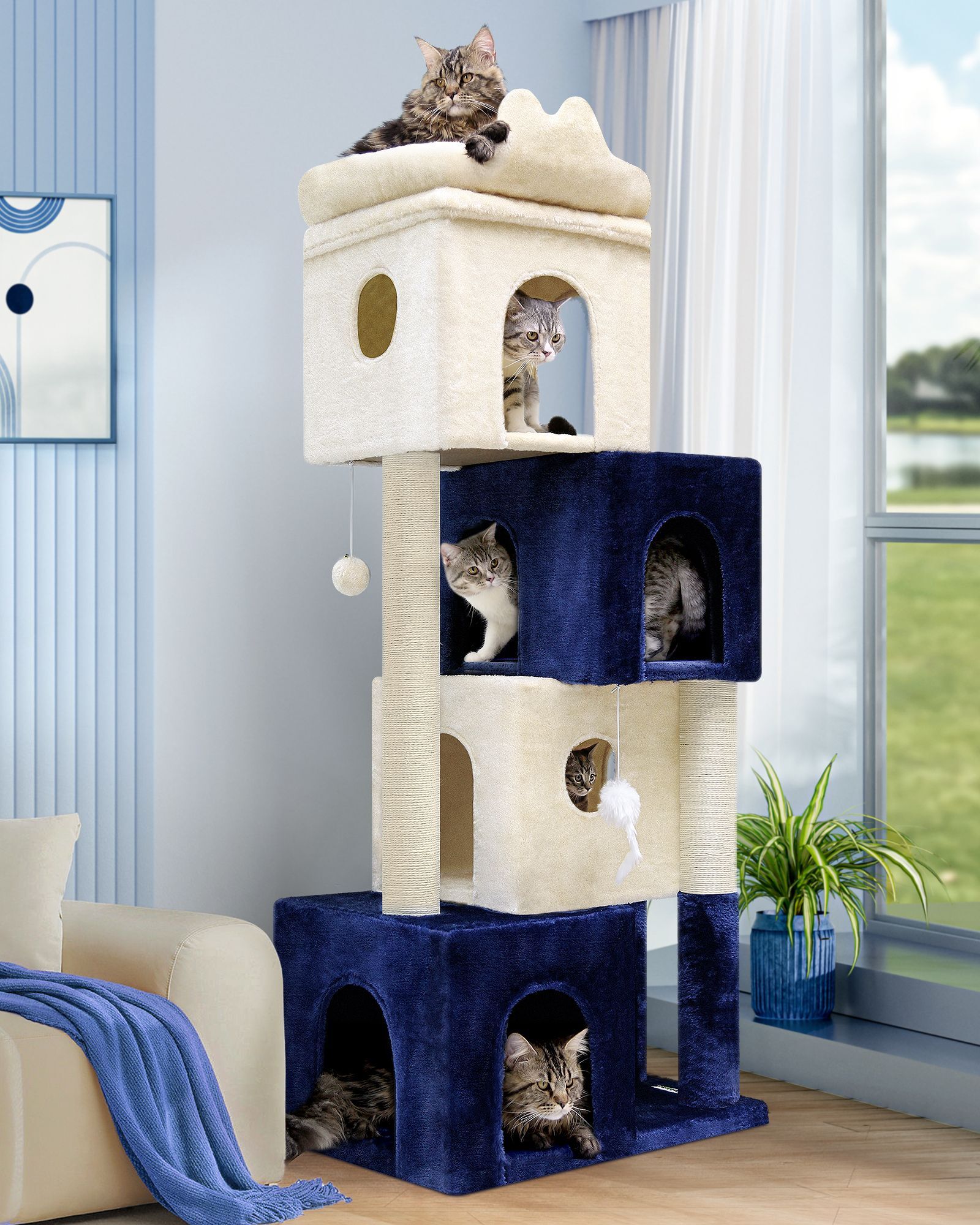 FC61 Cat Condos(White Blue,61-inch)