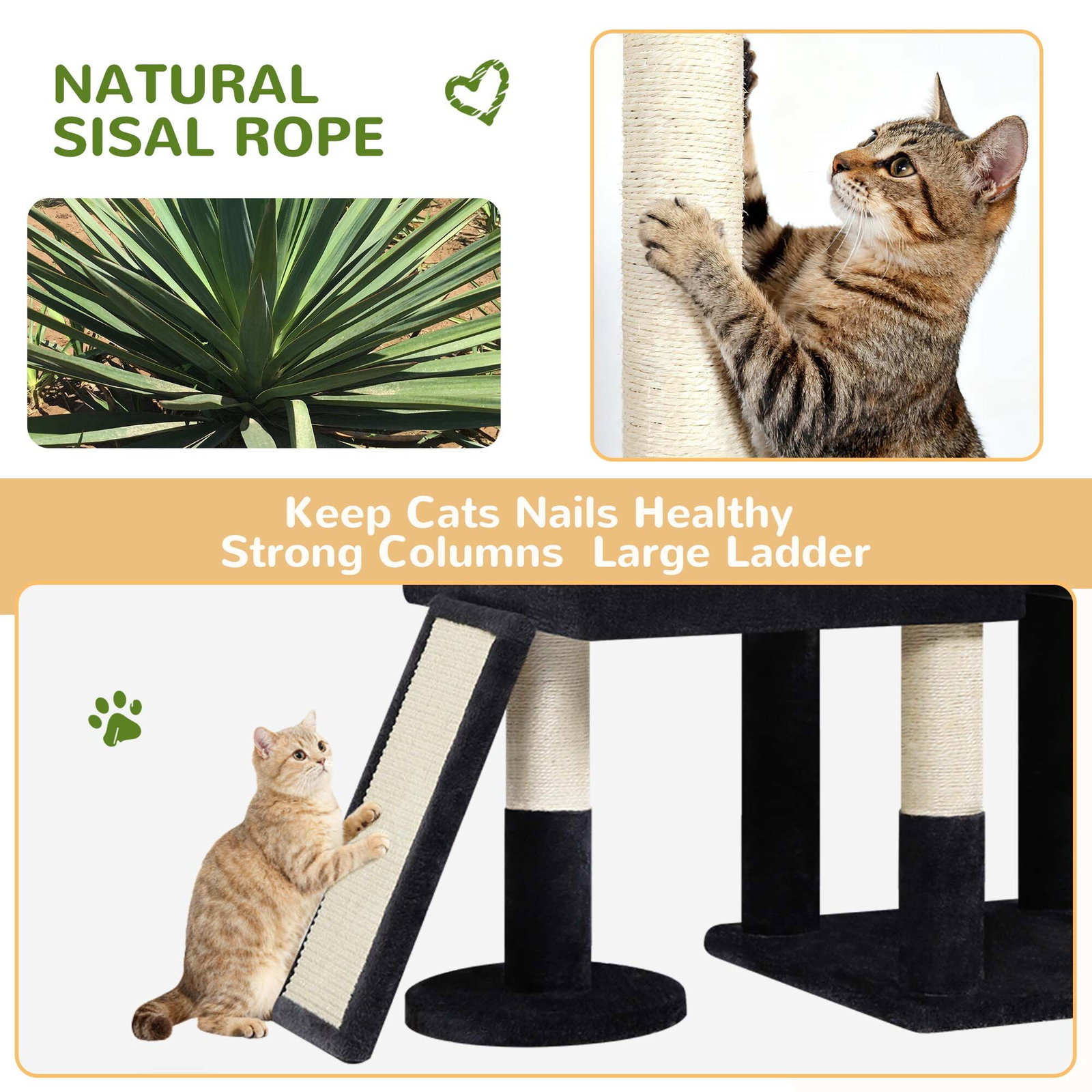 F81D Tall Cat Tree(Dark Grey,81-inch)