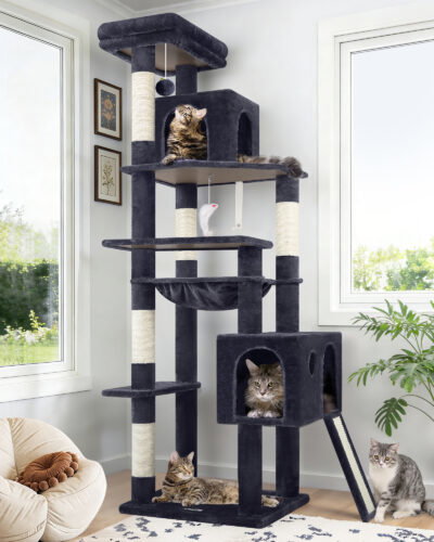 F70 Pro Cat Tree(Dark Grey,70-inch)